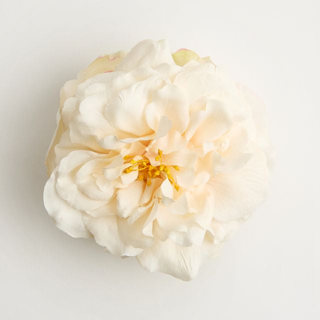 The White-Tigress Rose