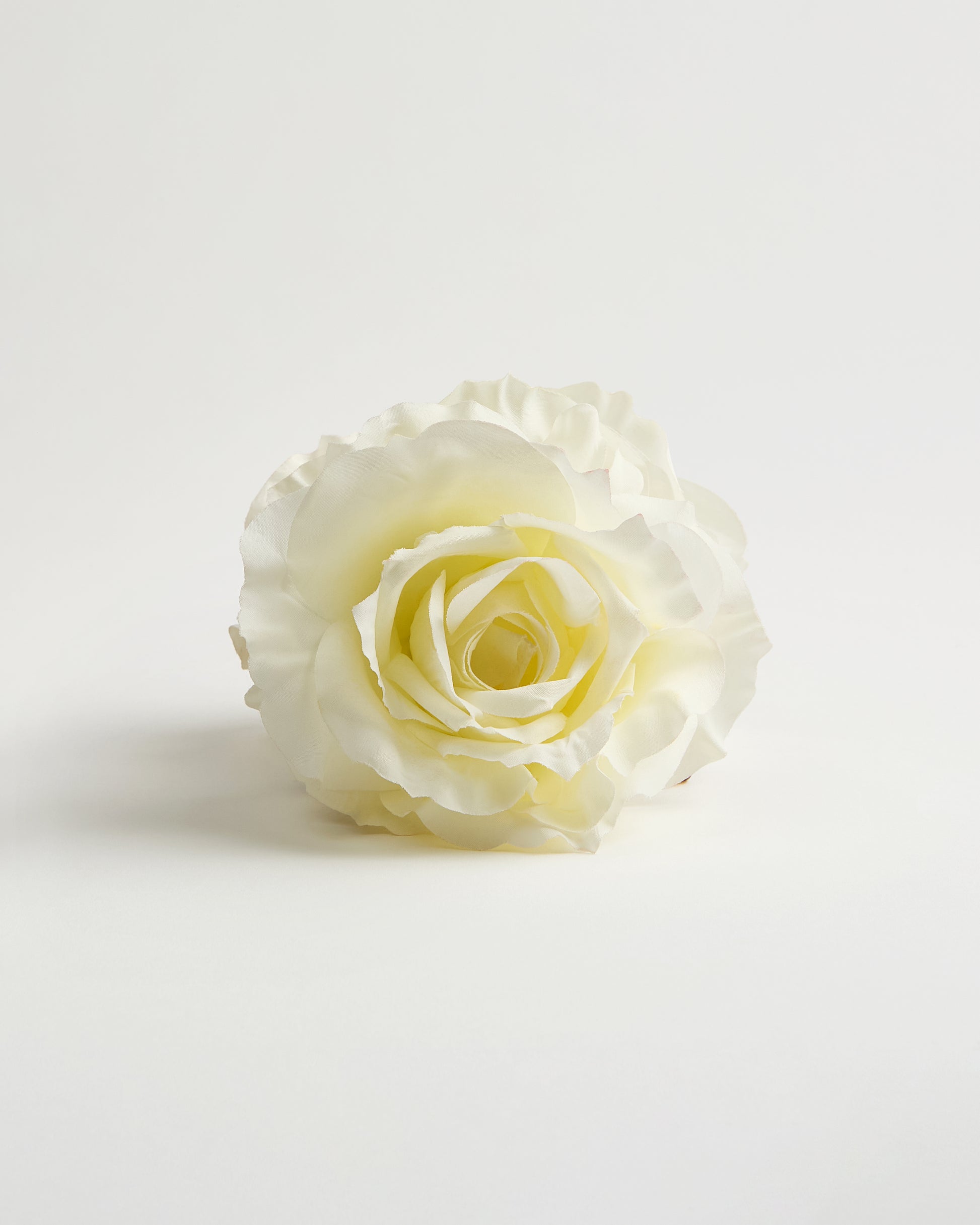 The English Rose