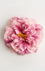 The Dolce-Vita Rose