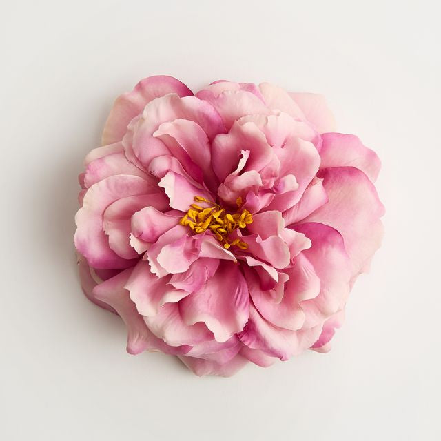 The Dolce-Vita Rose