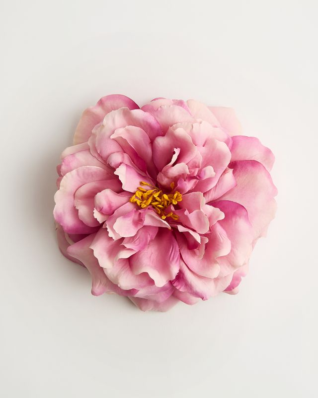The Dolce-Vita Rose