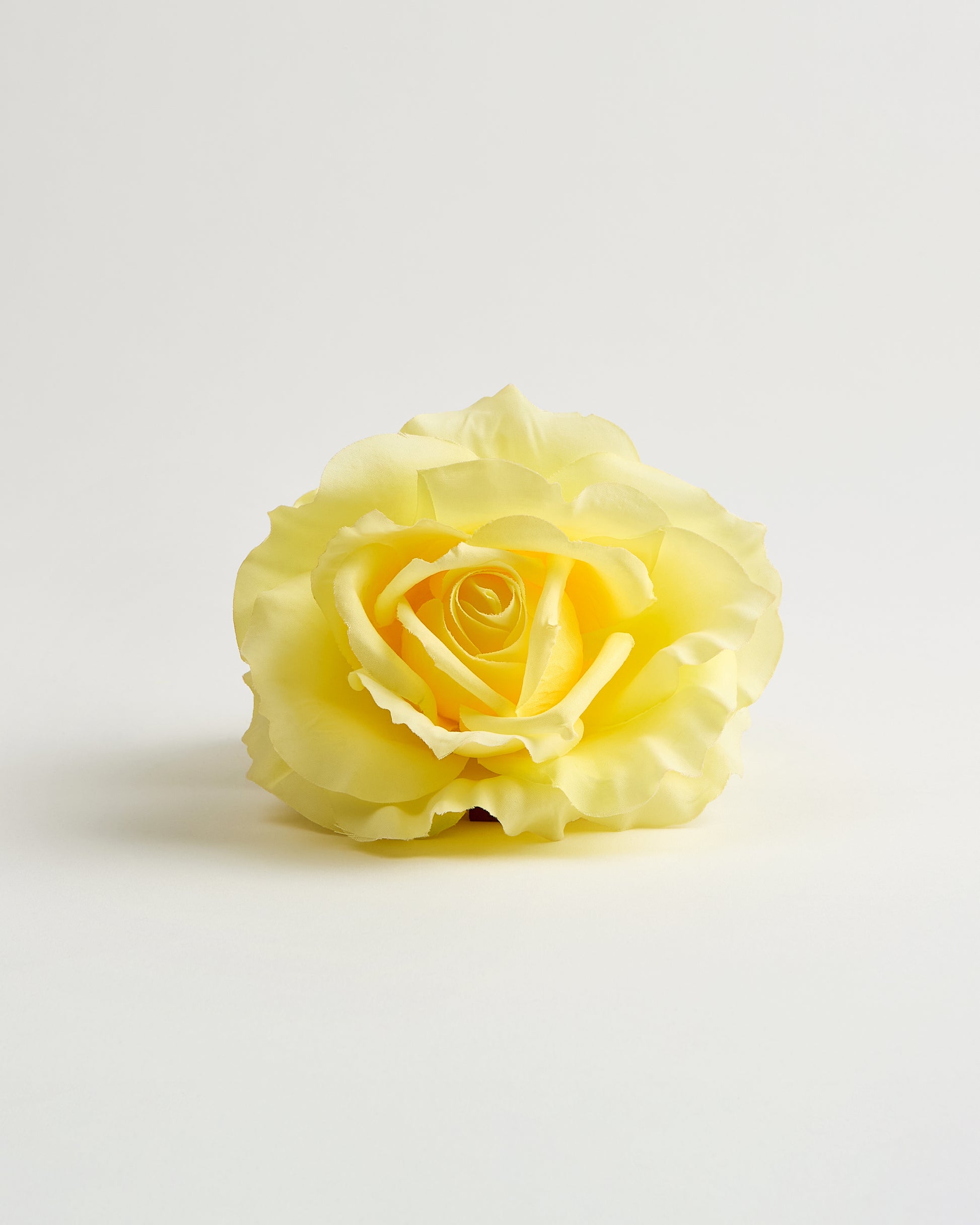 The English Rose