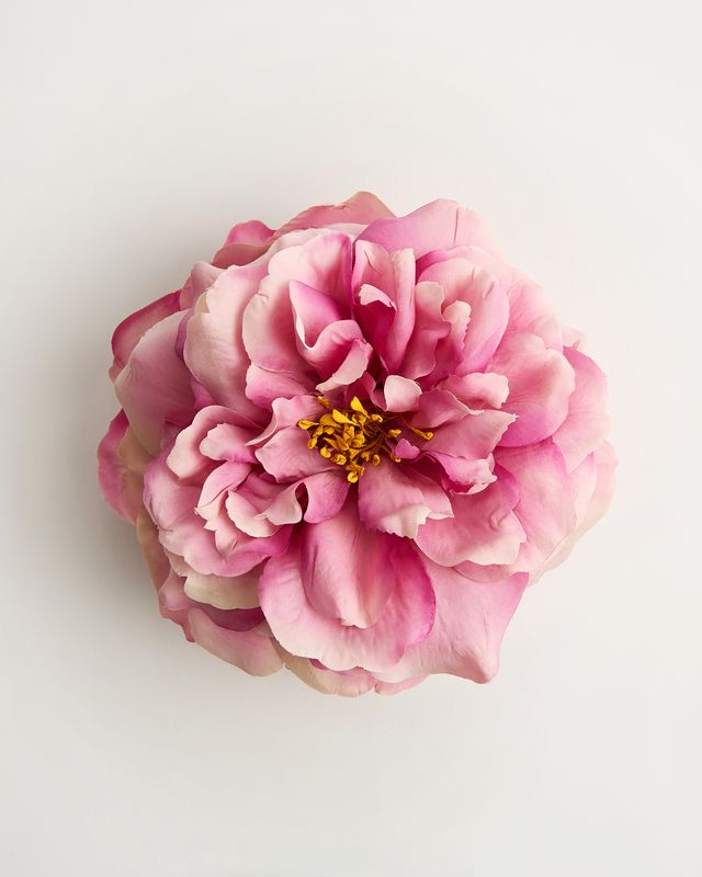 The Dolce-Vita Rose